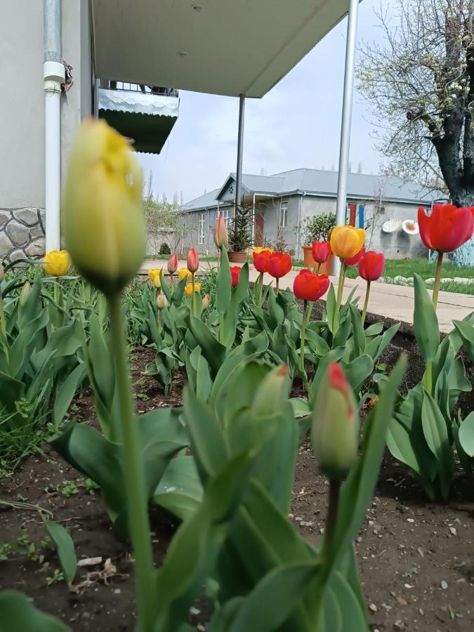 Ismayilli Guest House 외부 사진